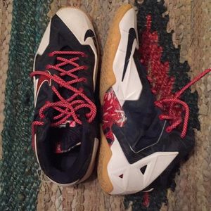Lebron James Basketball Shoes